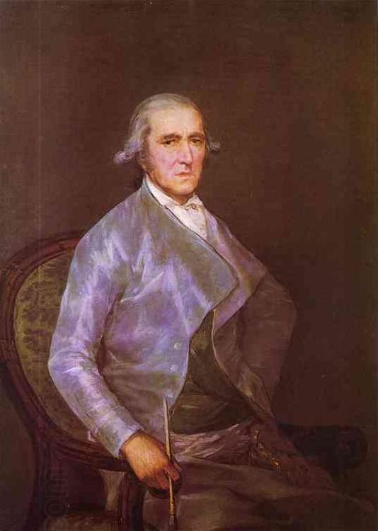 Francisco Jose de Goya Portrait of Francisco China oil painting art